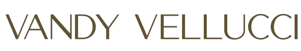 Vandy Vellucci logo